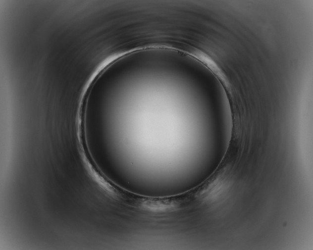 X0000086990955200704161503