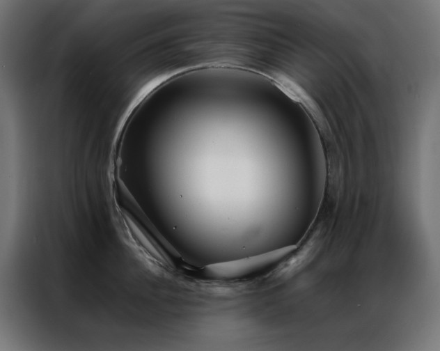 X0000086990956200704161503