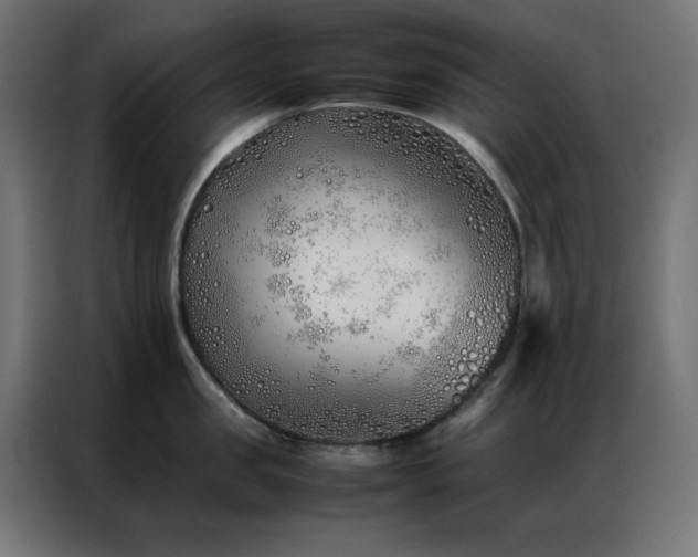 X0000086990957200704161504