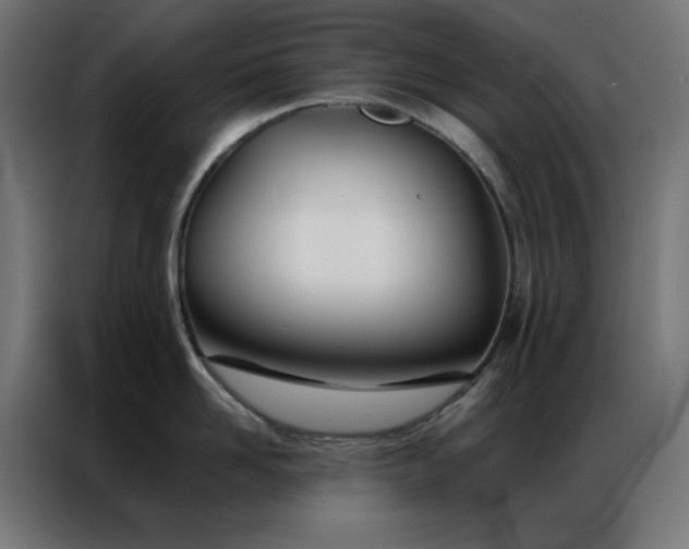 X0000086990958200704161504