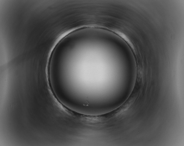 X0000086990959200704161504
