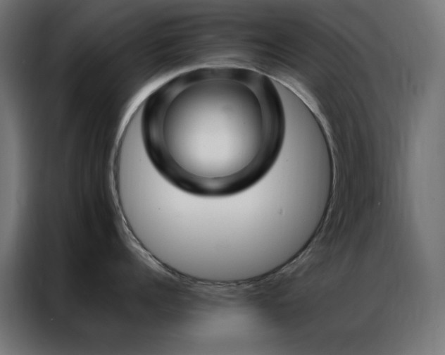 X0000086990960200704161504