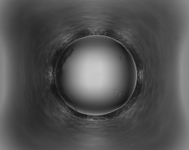 X0000086990963200704161503