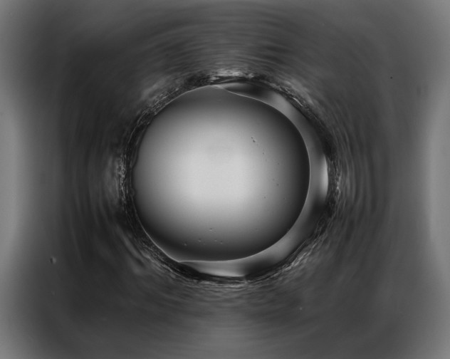 X0000086990964200704161503