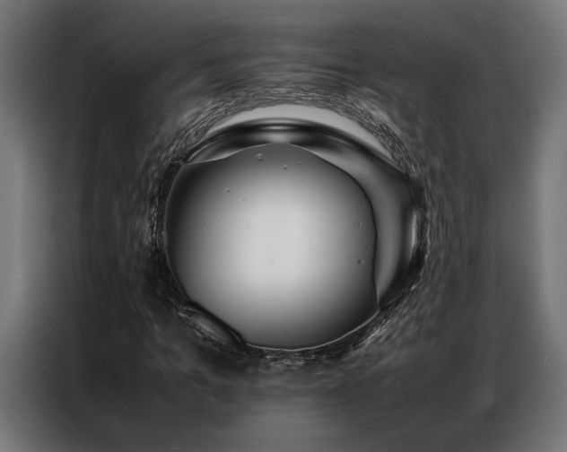 X0000086990965200704161503