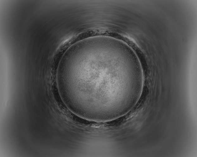 X0000086990967200704161503