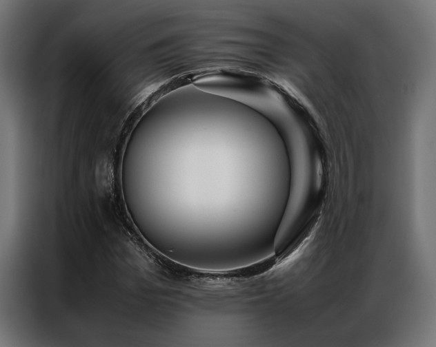 X0000086990969200704161503