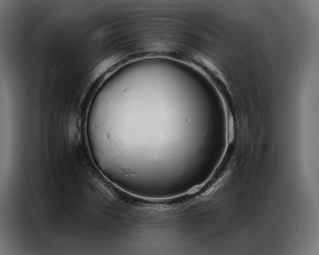 X0000086990970200704161503