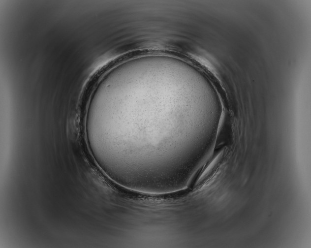 X0000086990971200704161503