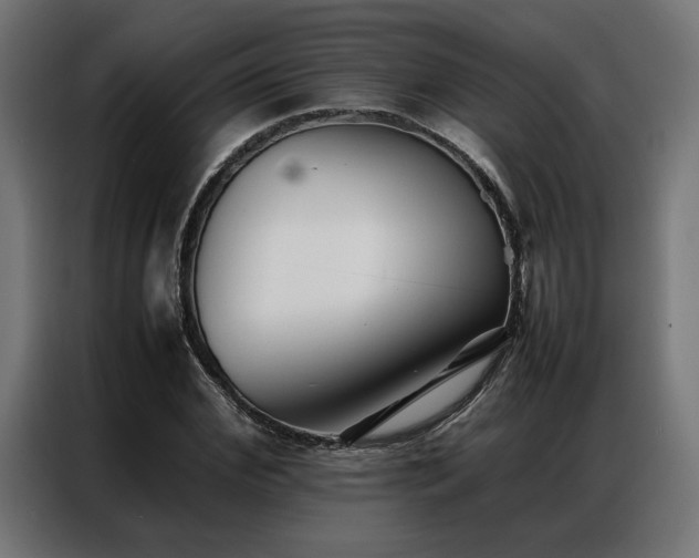 X0000086990972200704161503