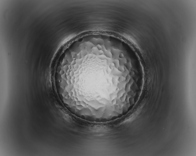 X0000086990974200704161503