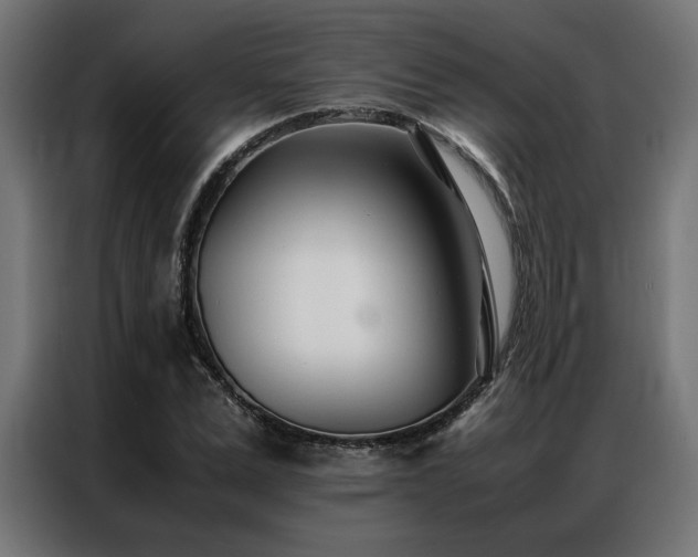 X0000086990975200704161503