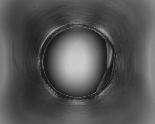 X0000086990976200704161503