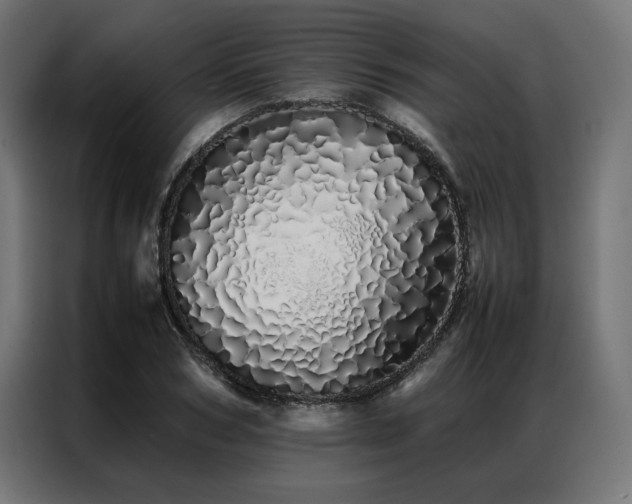 X0000086990978200704161503
