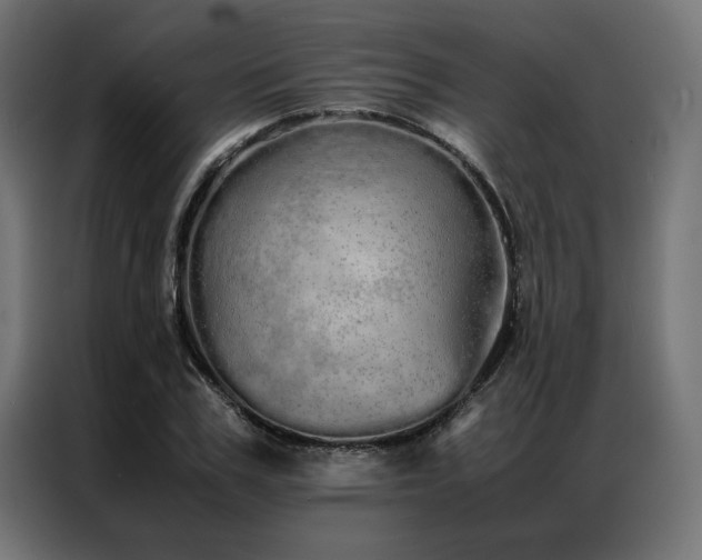 X0000086990979200704161503