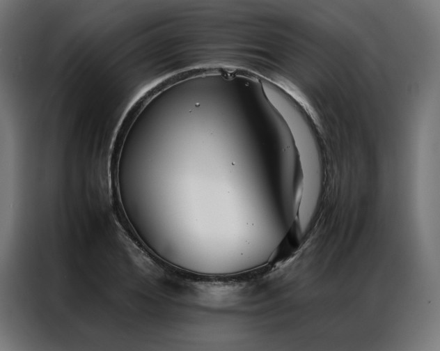 X0000086990980200704161503