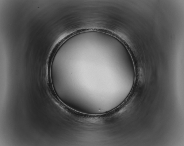 X0000086990982200704161503