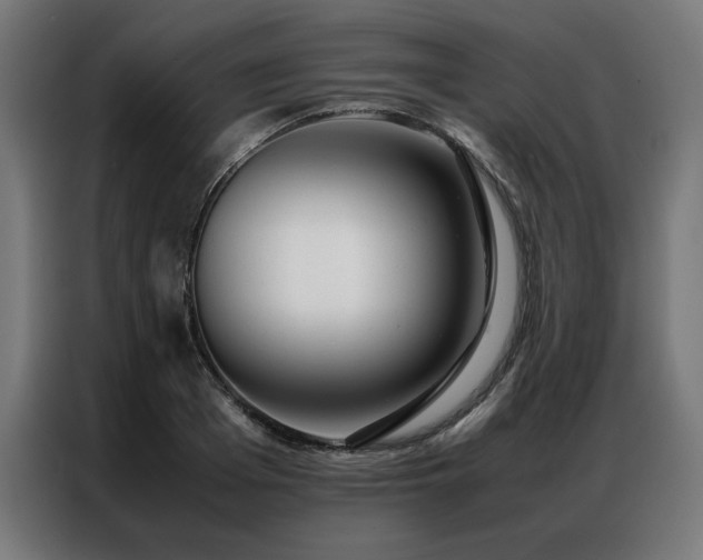 X0000086990985200704161503