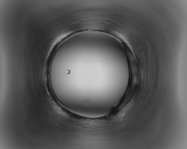 X0000086990987200704161503
