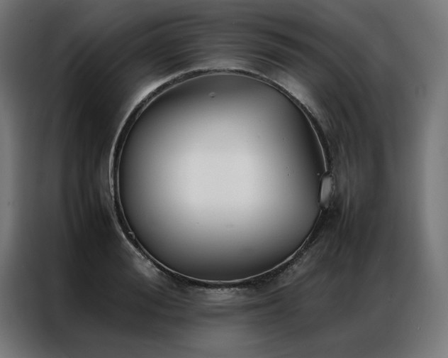 X0000086990988200704161503