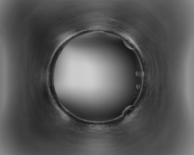 X0000086990991200704161503