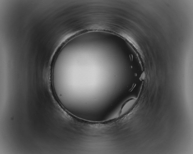 X0000086990992200704161503