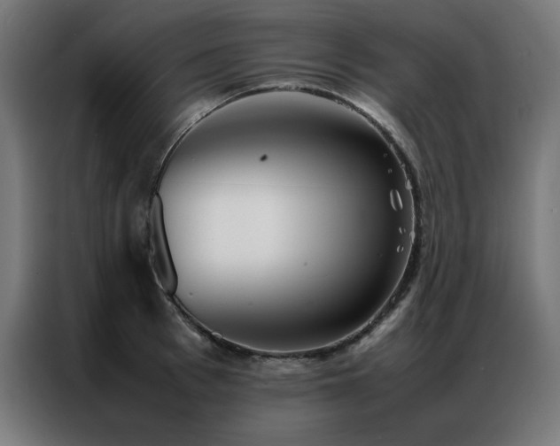 X0000086990993200704161503