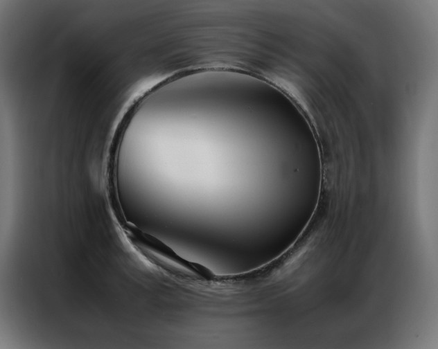 X0000086990995200704161503