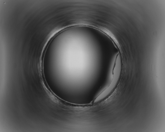 X0000086990996200704161503