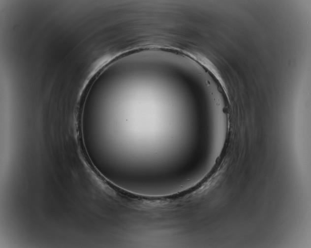 X0000086990997200704161503