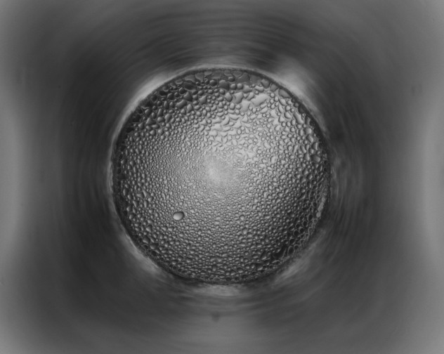 X0000086990998200704161503