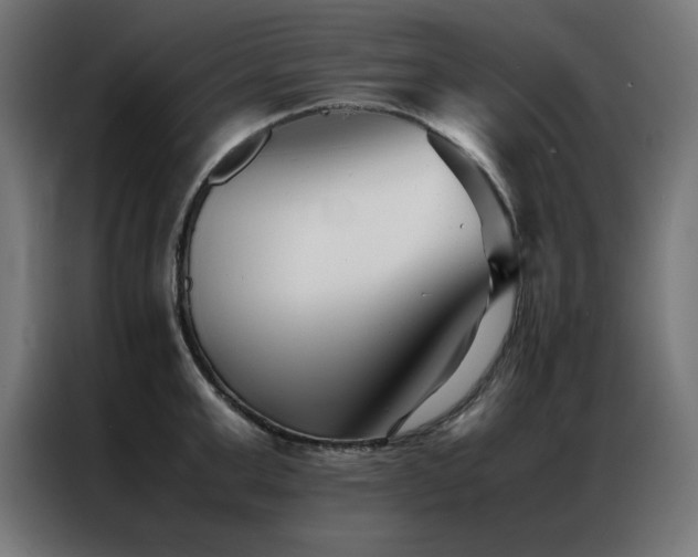X0000086990999200704161503