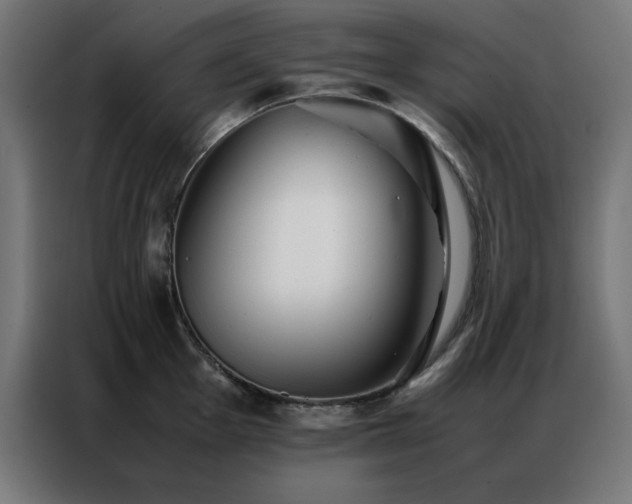 X0000086991001200704161503