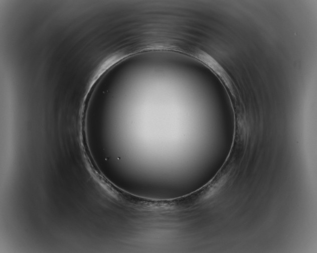 X0000086991002200704161503