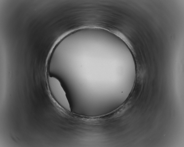 X0000086991004200704161502