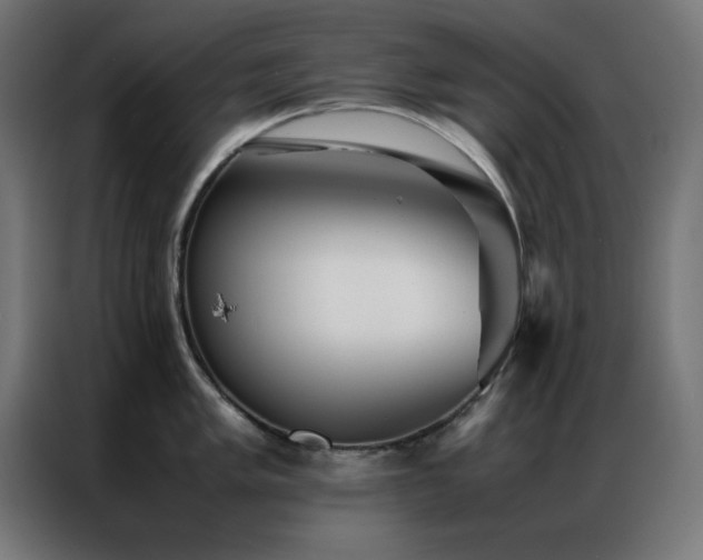 X0000086991005200704161502