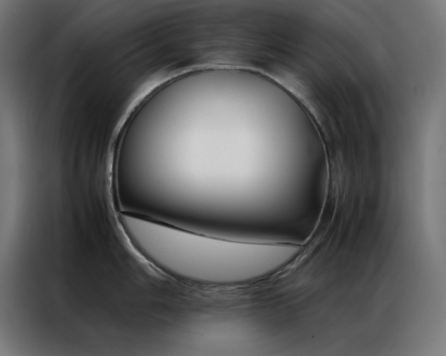 X0000086991006200704161502