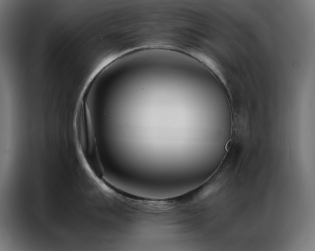 X0000086991007200704161502