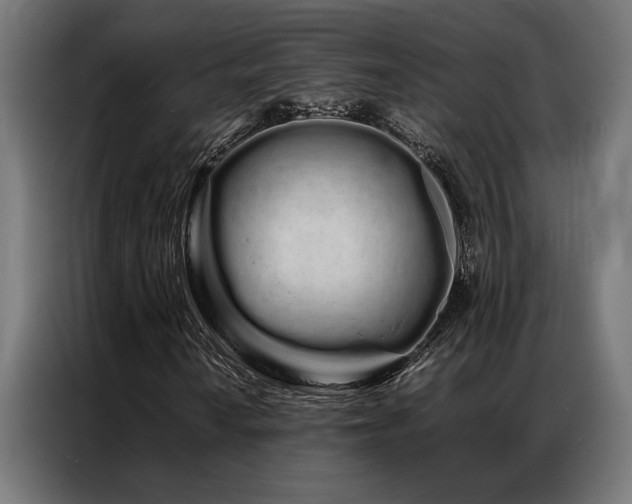 X0000086991010200704161502