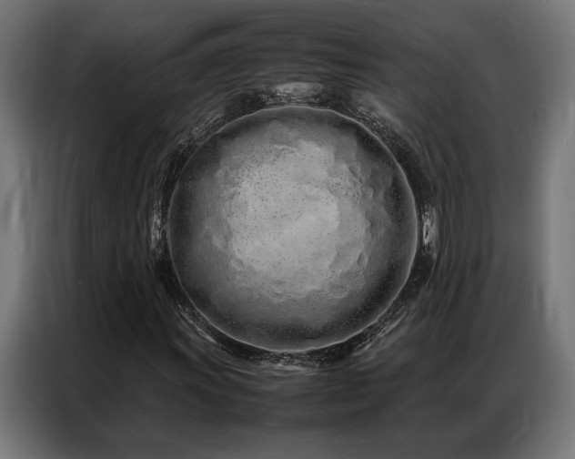 X0000086991011200704161502