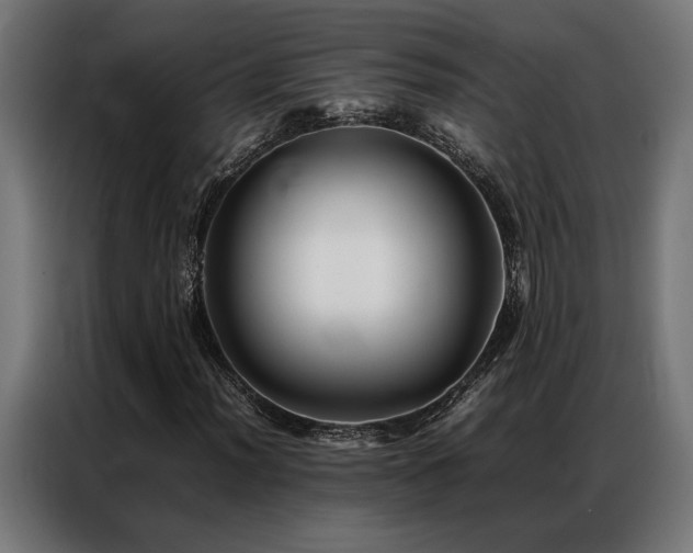 X0000086991012200704161502
