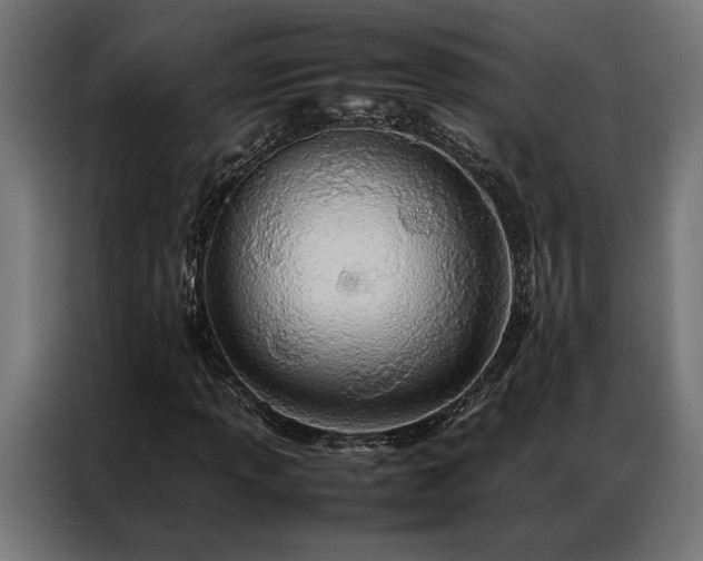 X0000086991013200704161502