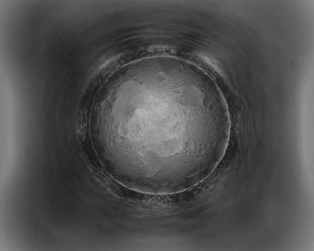 X0000086991015200704161502