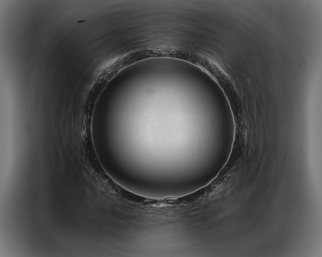 X0000086991016200704161502