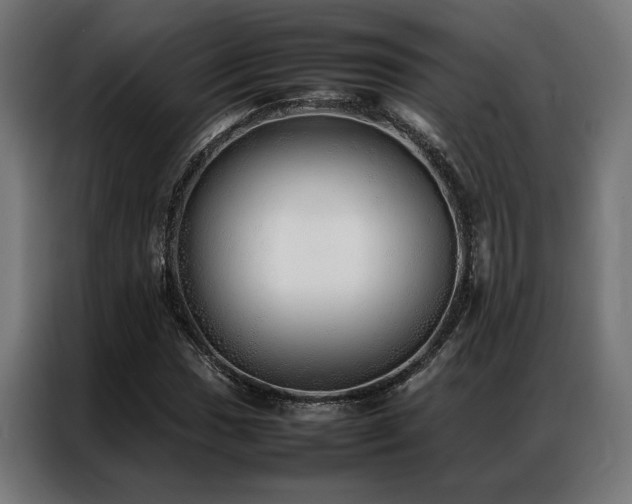 X0000086991017200704161502