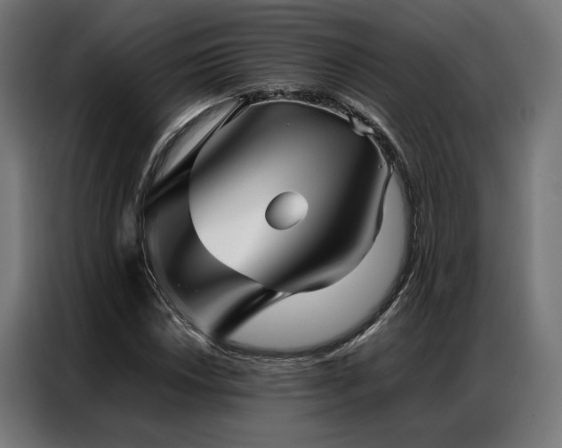 X0000086991018200704161502