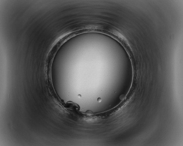 X0000086991019200704161502
