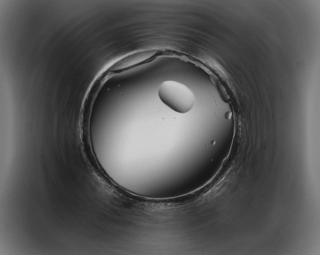 X0000086991020200704161502