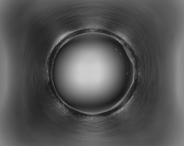 X0000086991022200704161502
