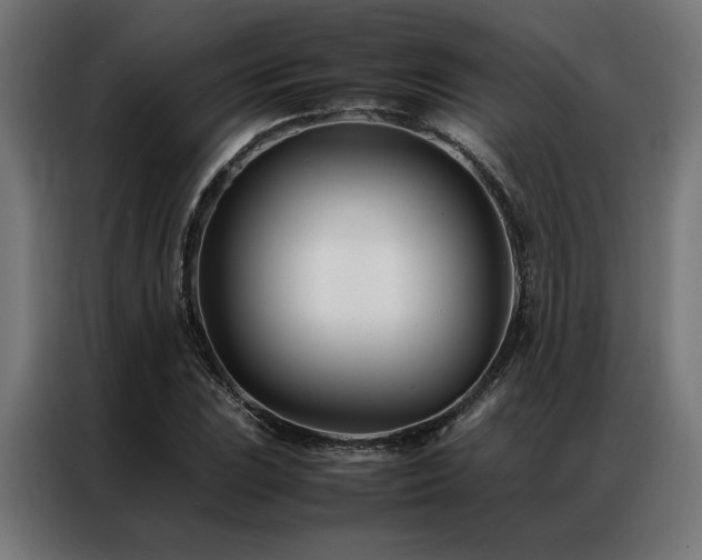 X0000086991023200704161502